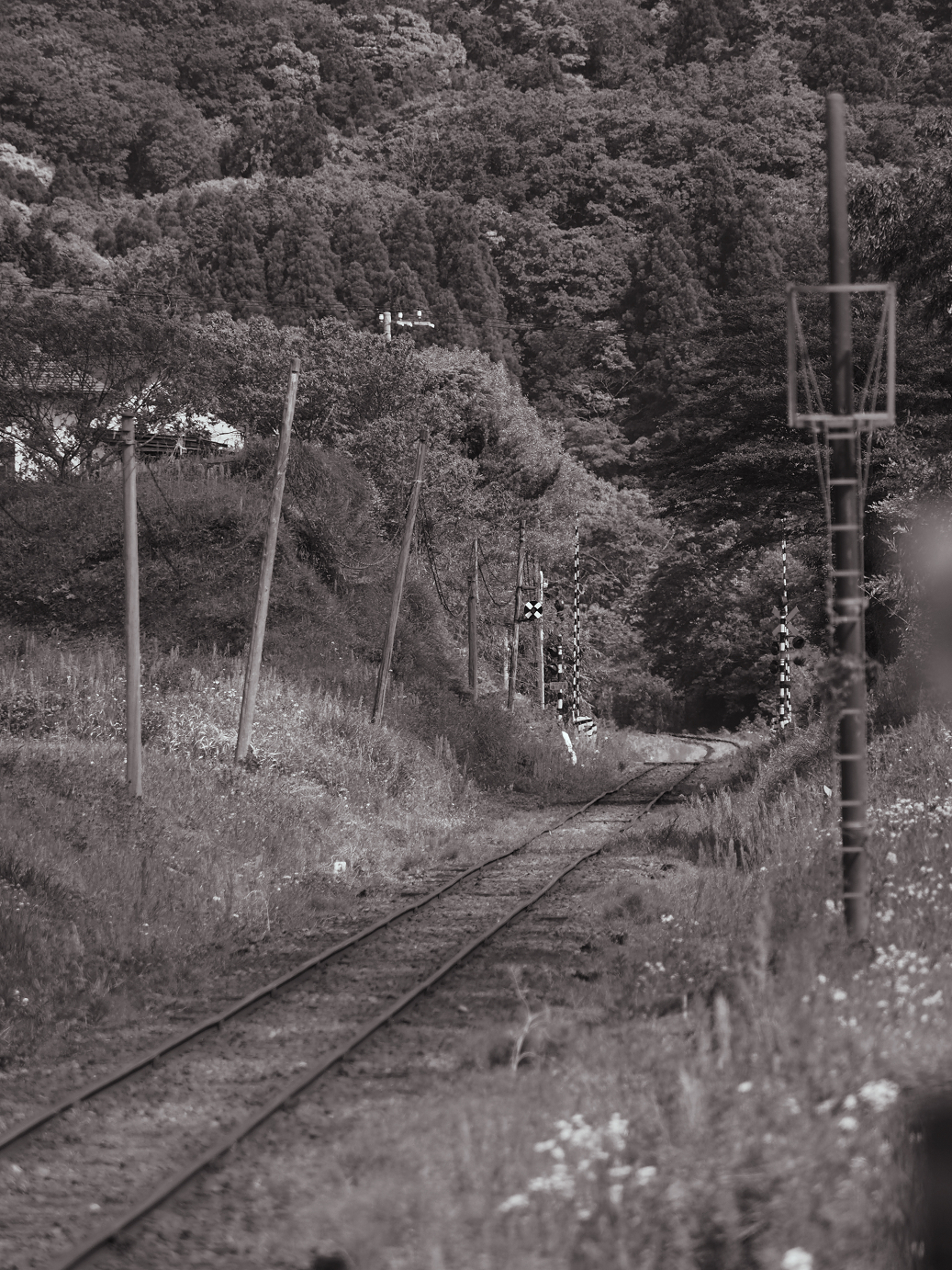 P5058467-2.jpg