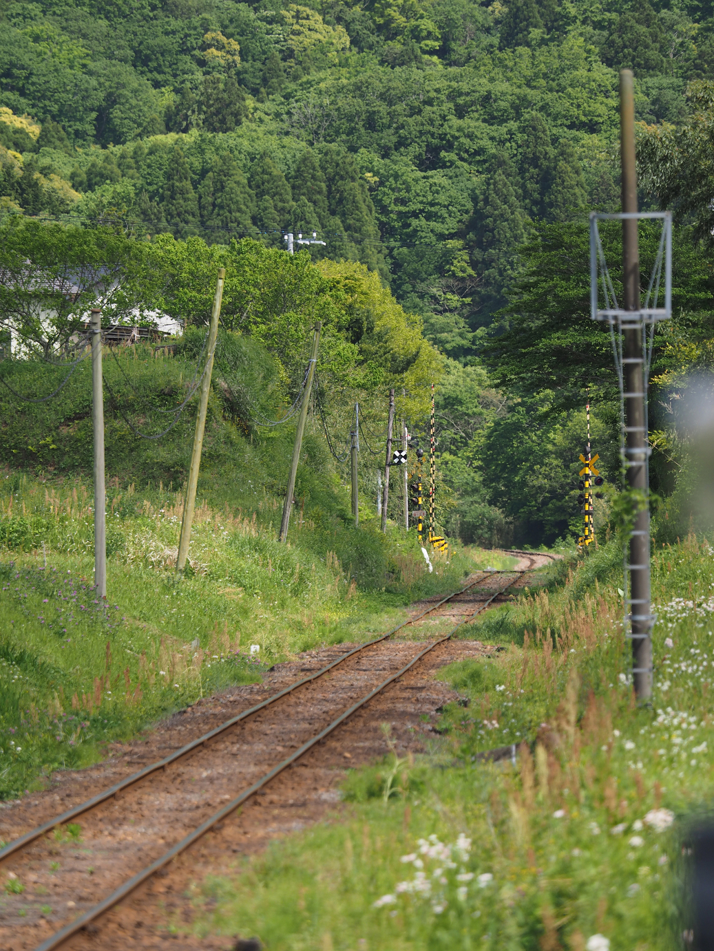 P5058467.jpg