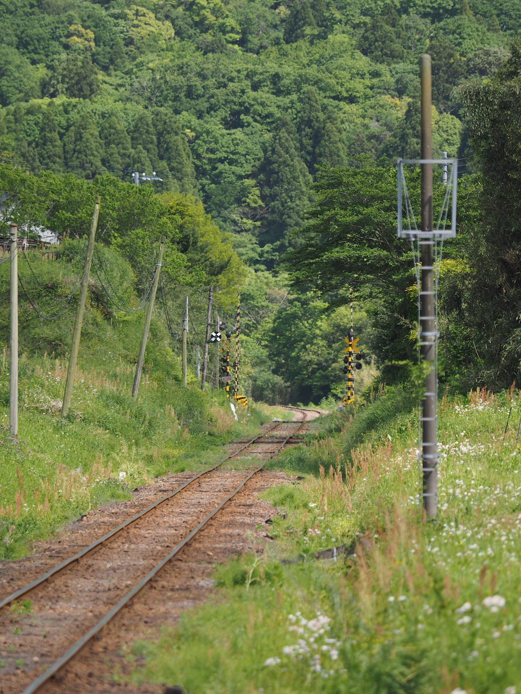 P5058468.jpg