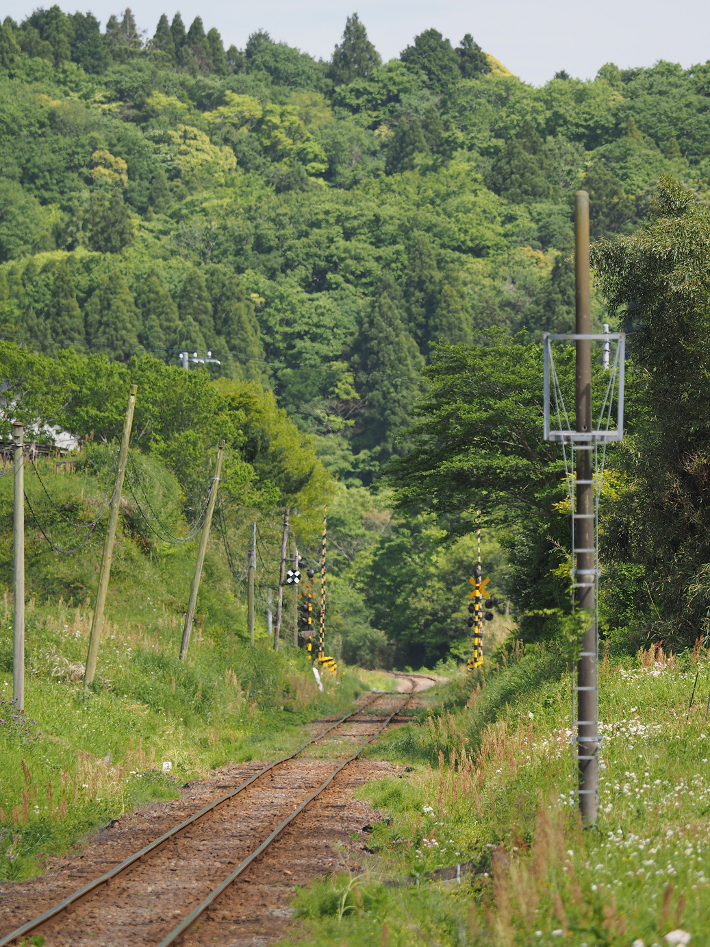 P5058469.jpg