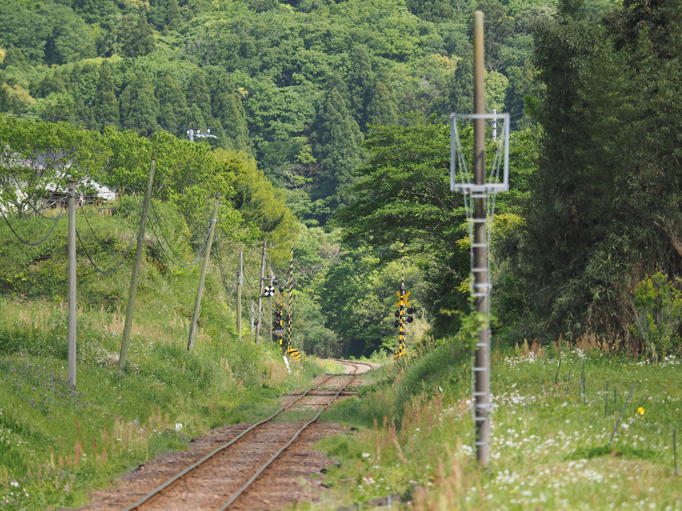 P5058471.jpg