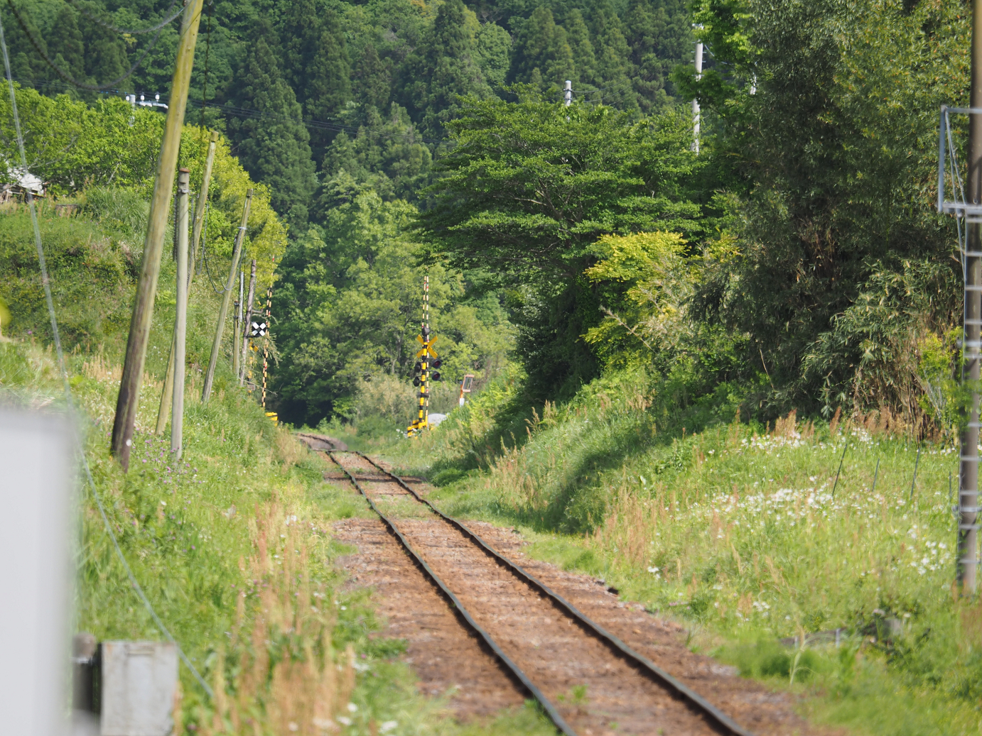 P5058474.jpg