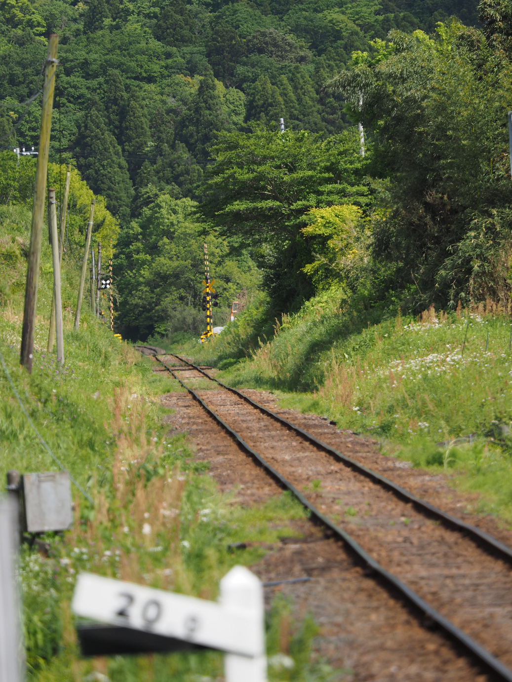 P5058475.jpg