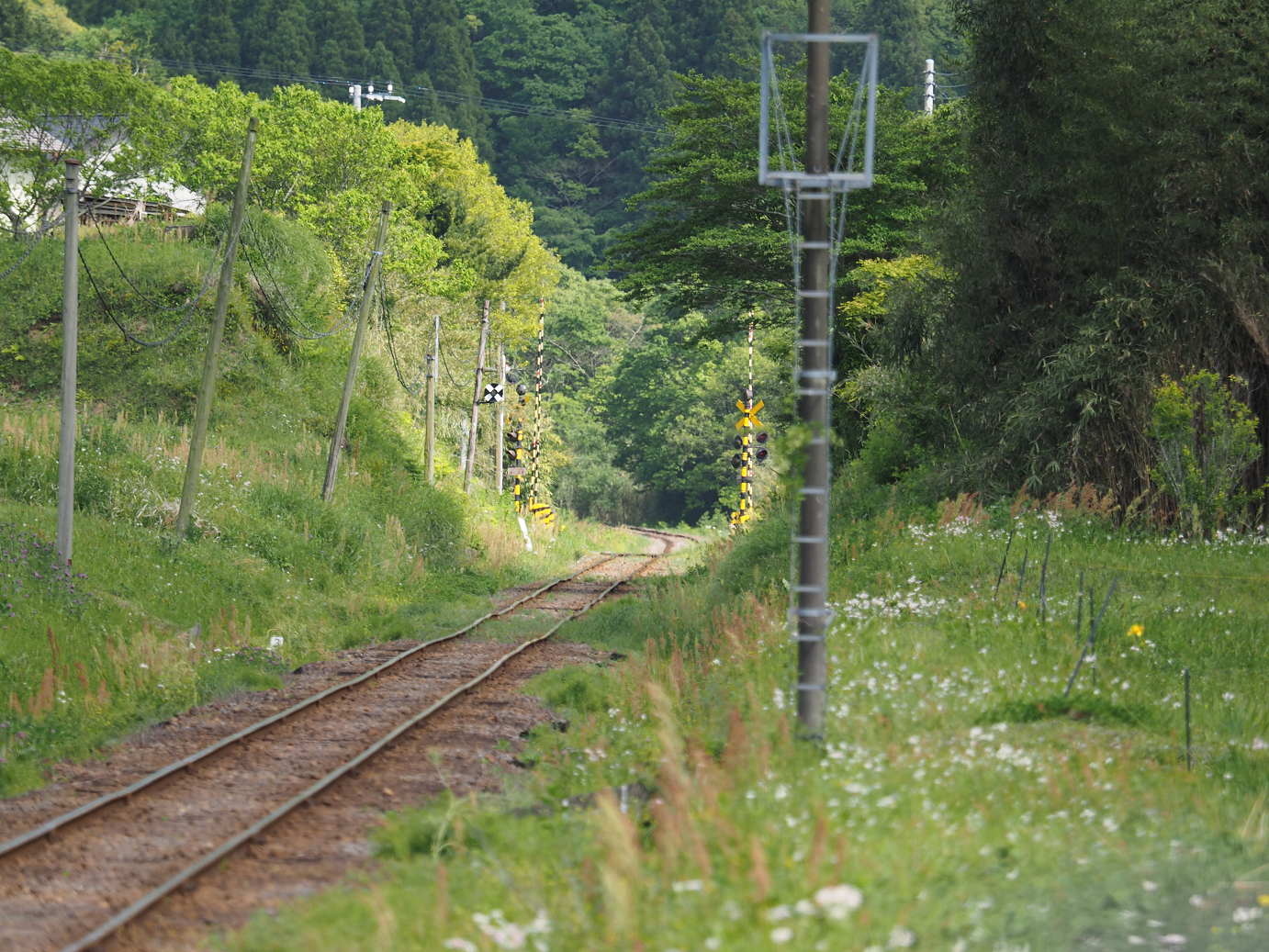 P5058479.jpg