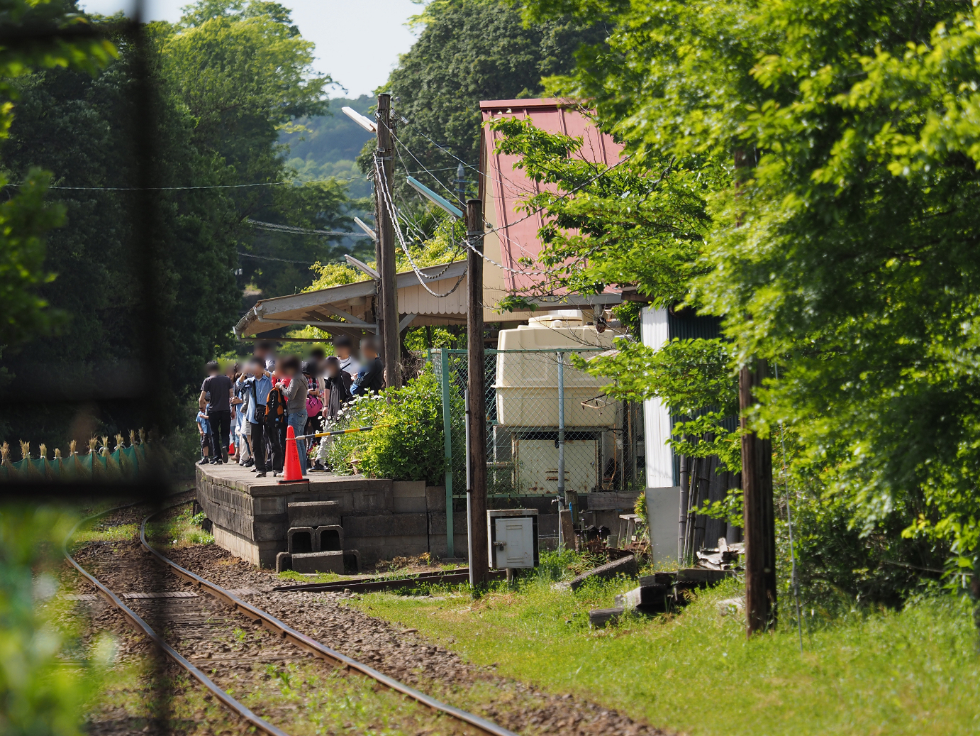 P5058482.jpg