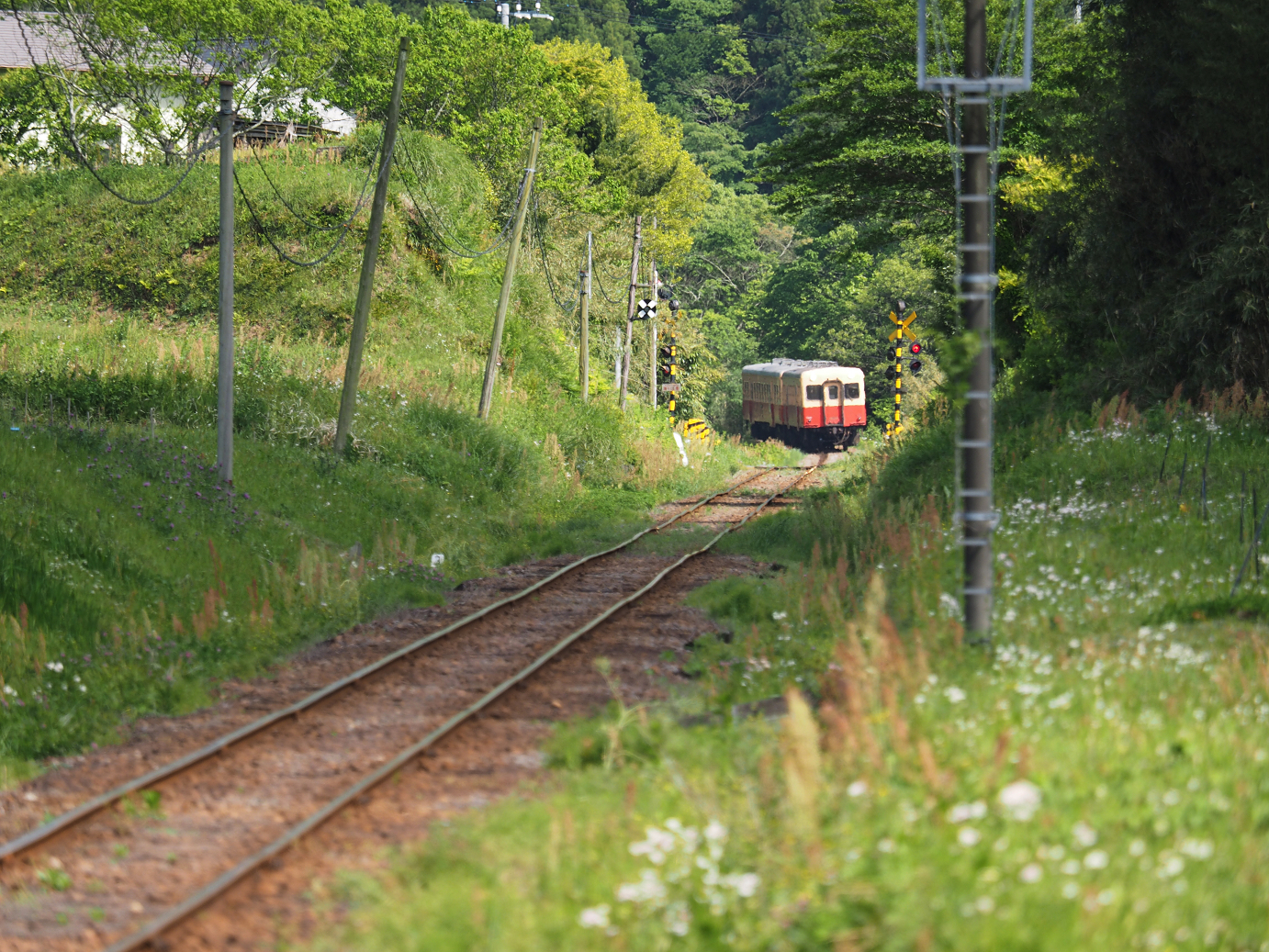 P5058502.jpg