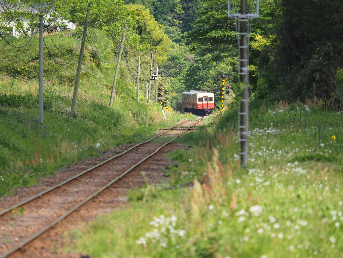 P5058503.jpg