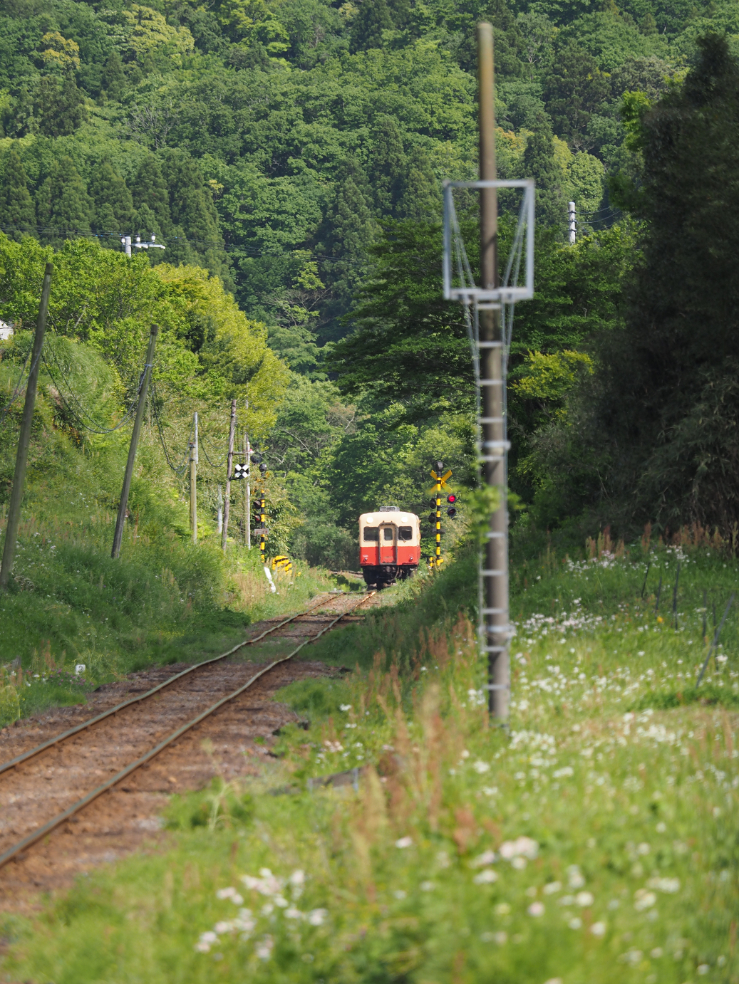 P5058504.jpg