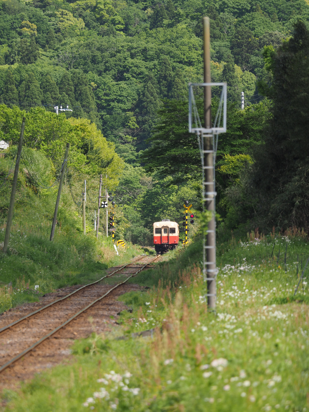 P5058505.jpg