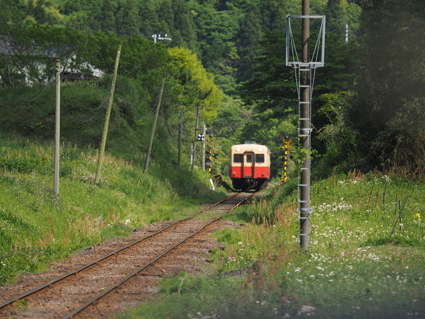 P5058510.jpg