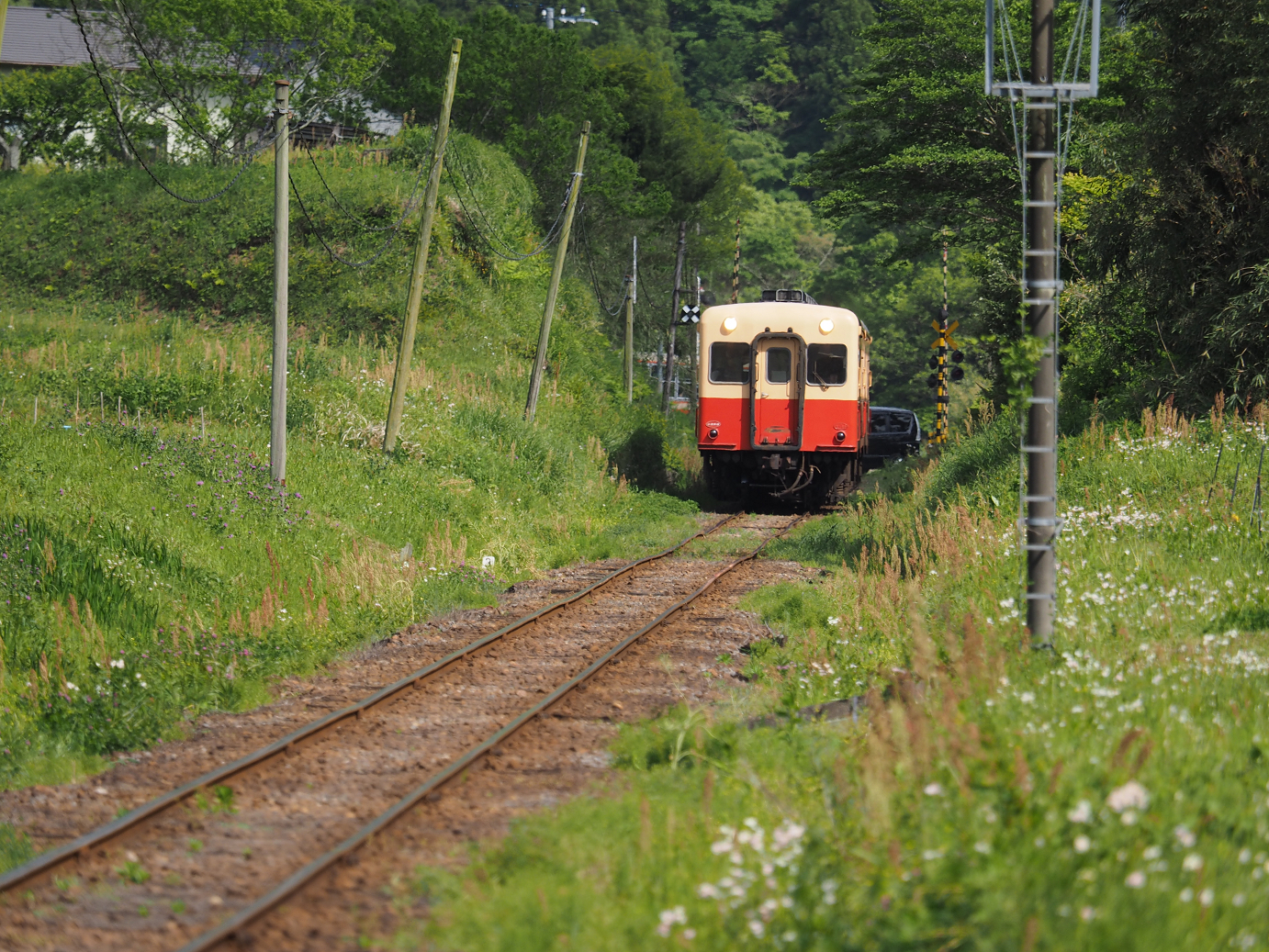 P5058514.jpg