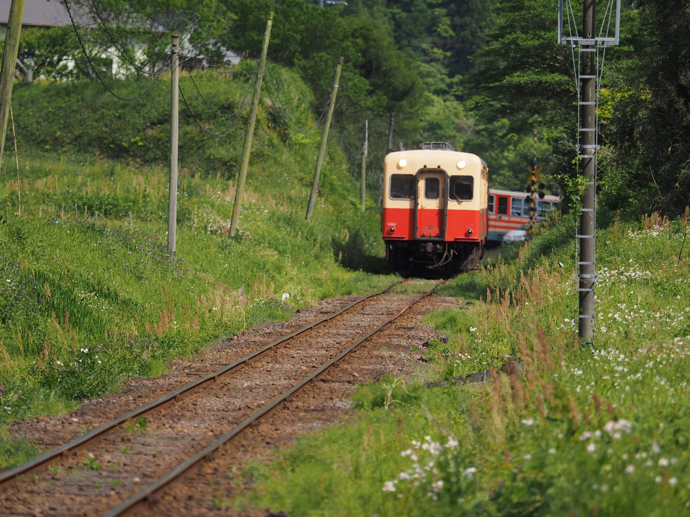 P5058515.jpg