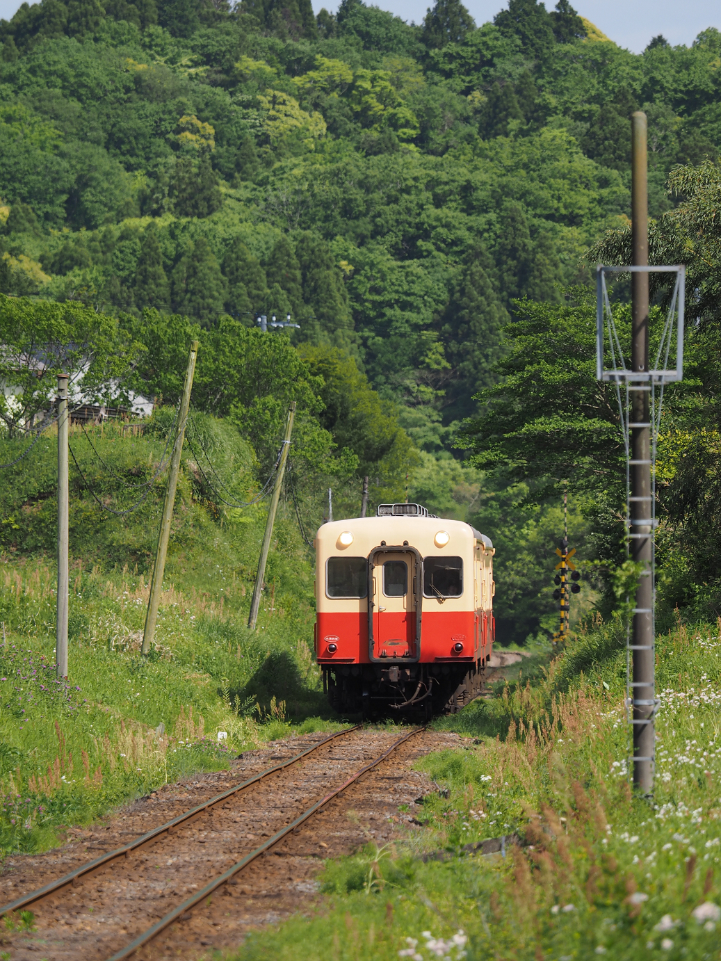 P5058516.jpg