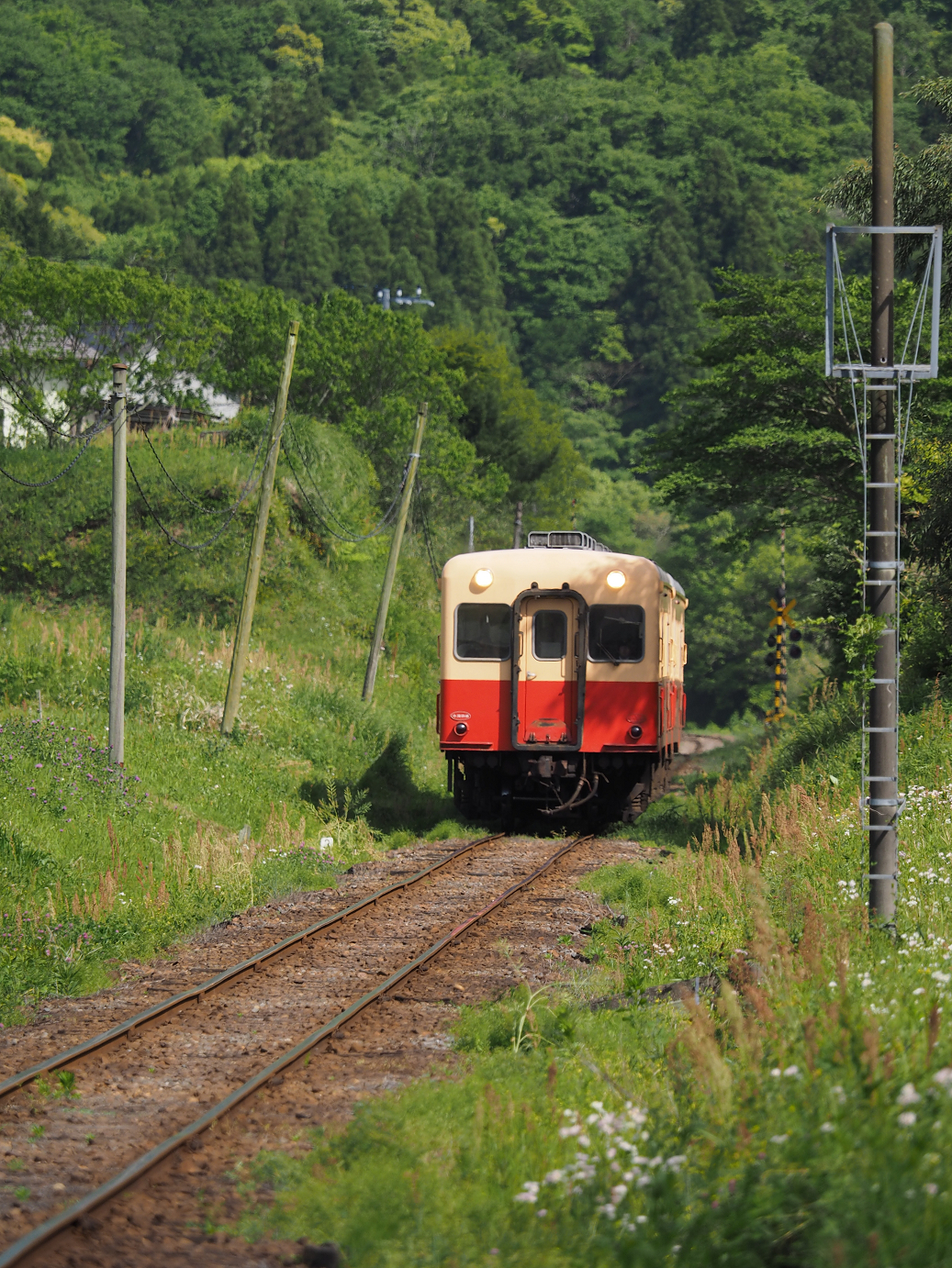 P5058517.jpg