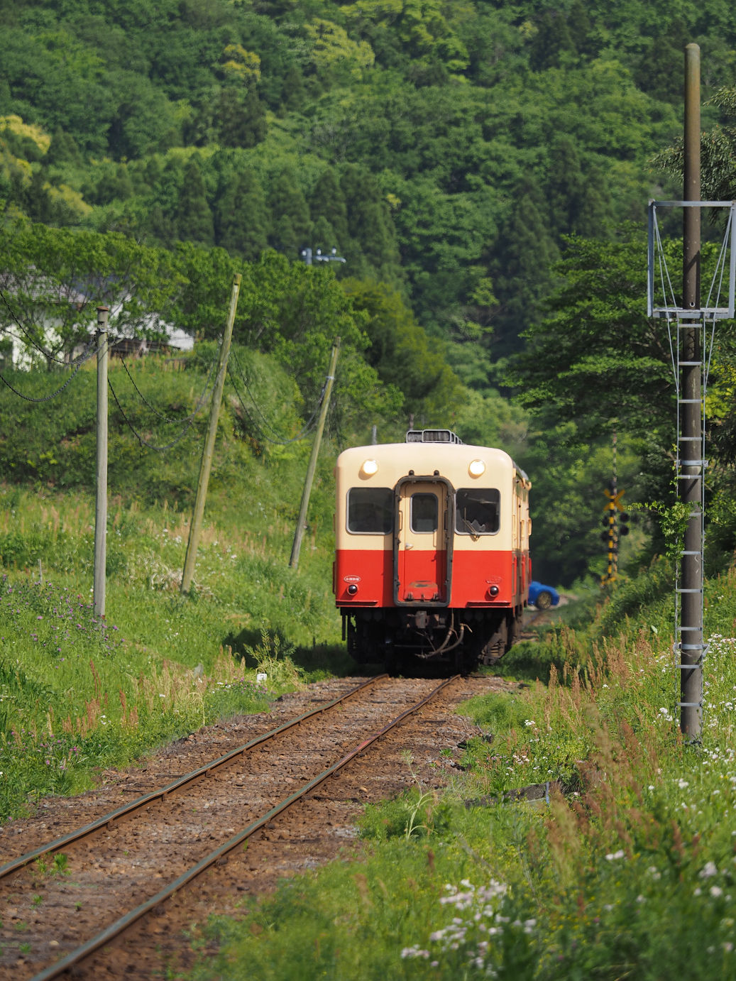 P5058518.jpg