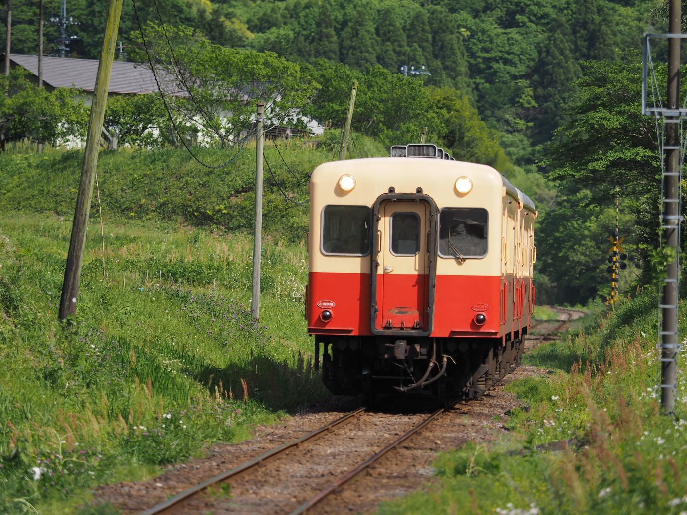 P5058523.jpg