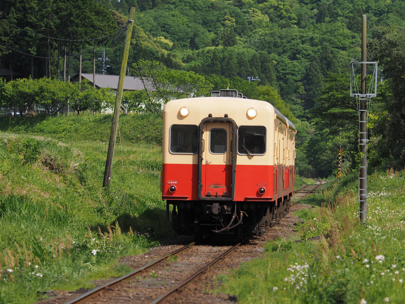 P5058528.jpg