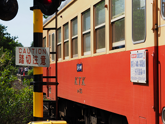 P5058534_thumb.png