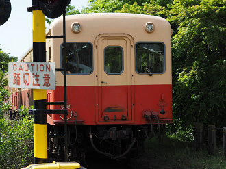 P5058542_thumb.png