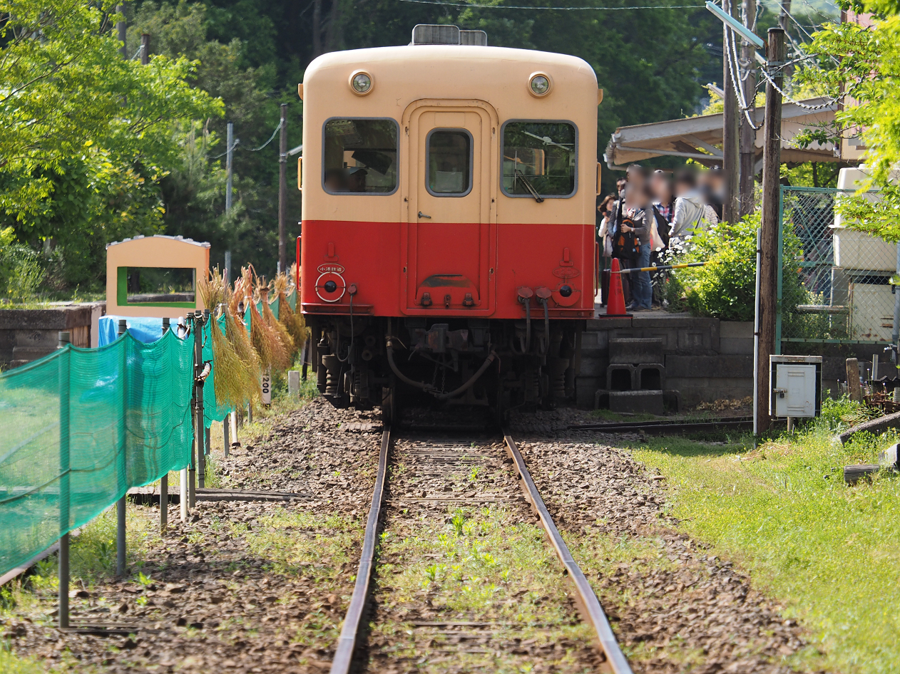 P5058546.jpg