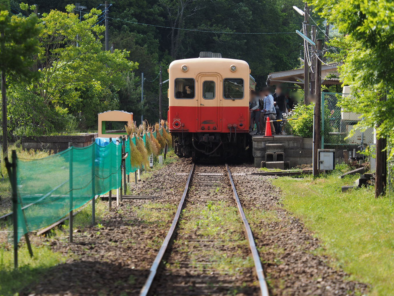 P5058552.jpg