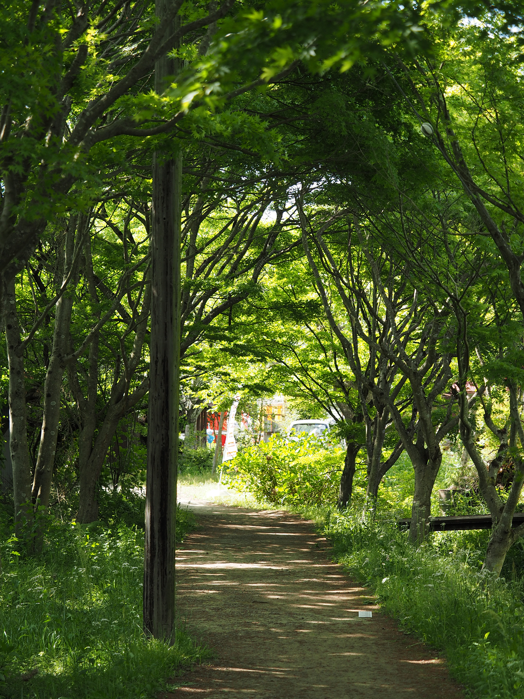 P5058557.jpg