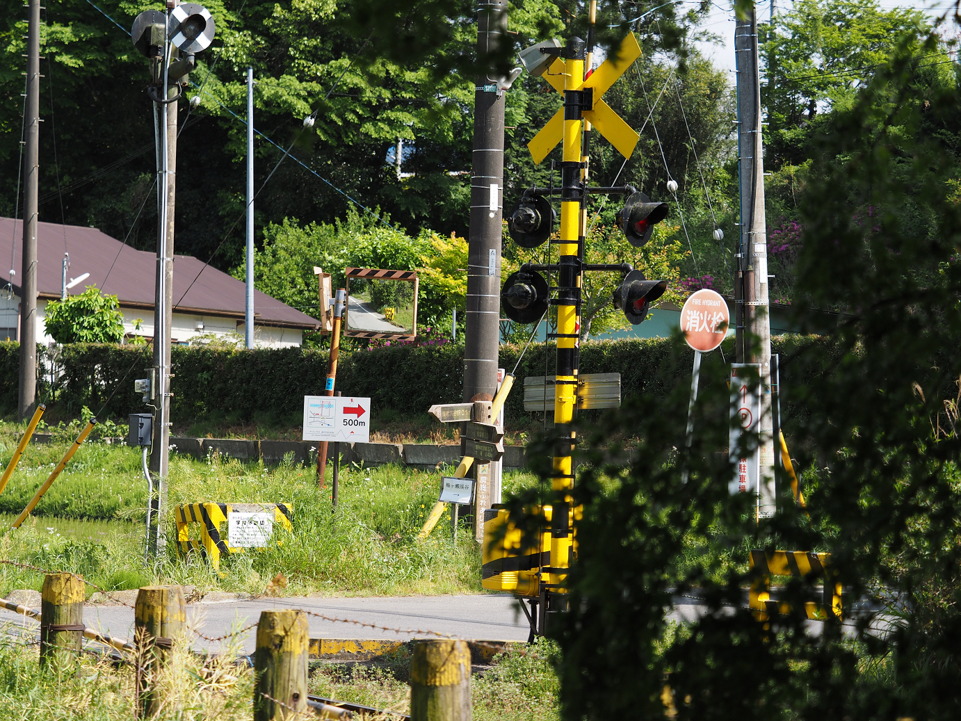 P5058558.jpg