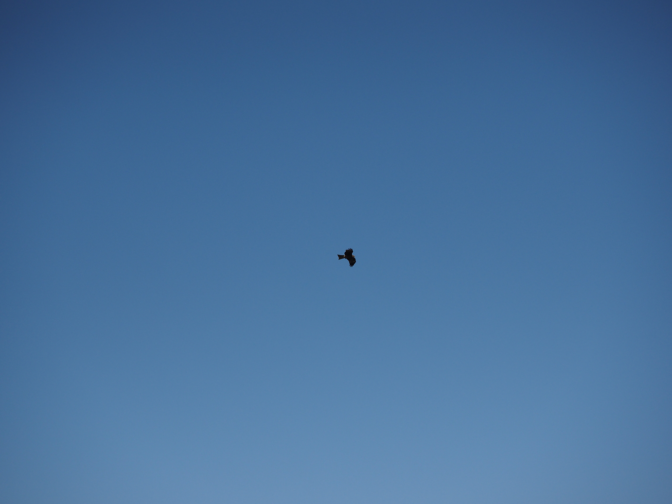 P5058561.jpg