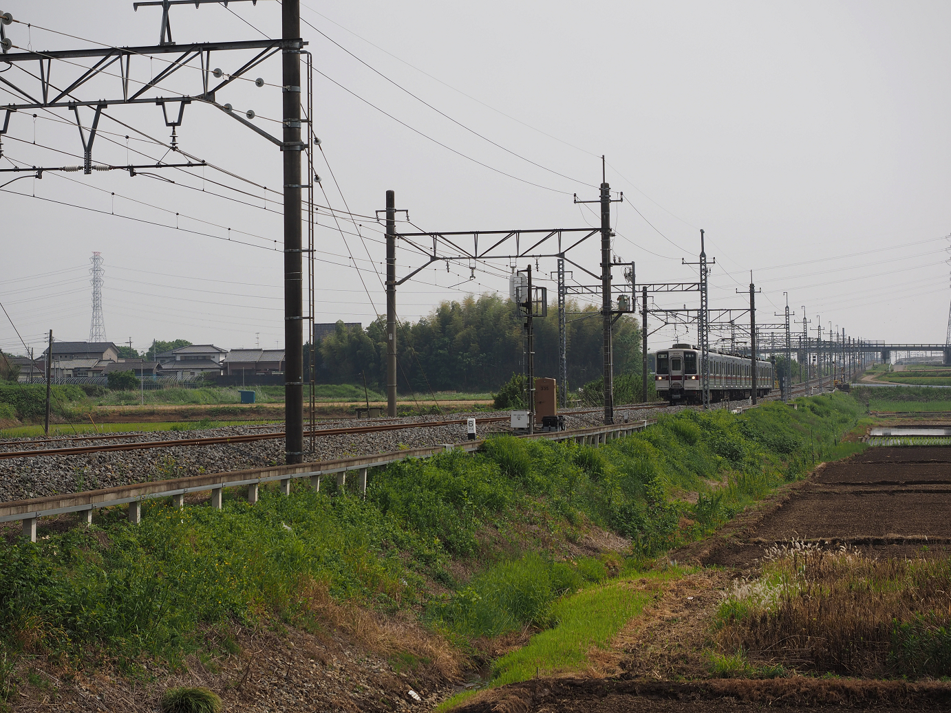 P5168606.jpg