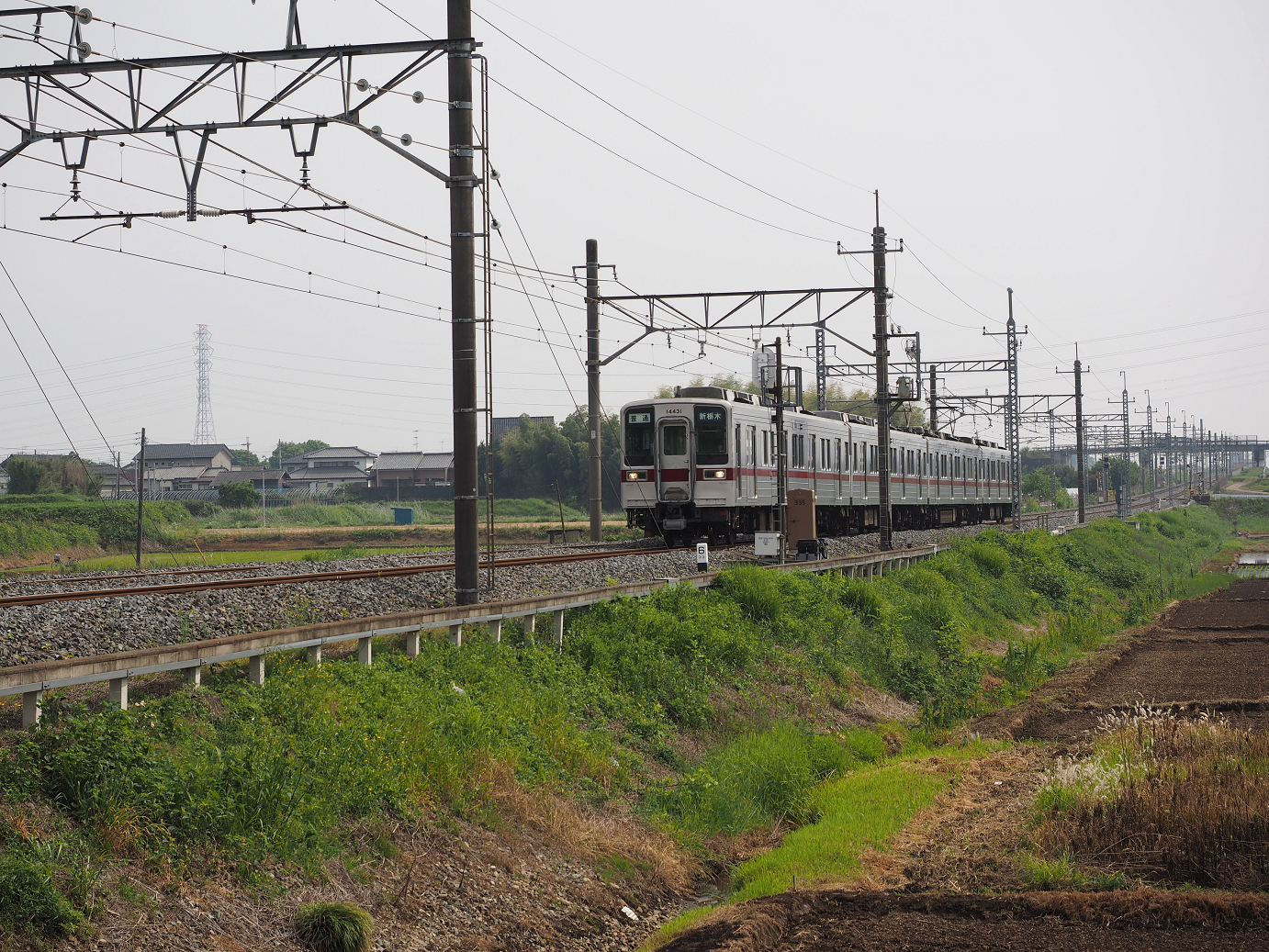 P5168608.jpg
