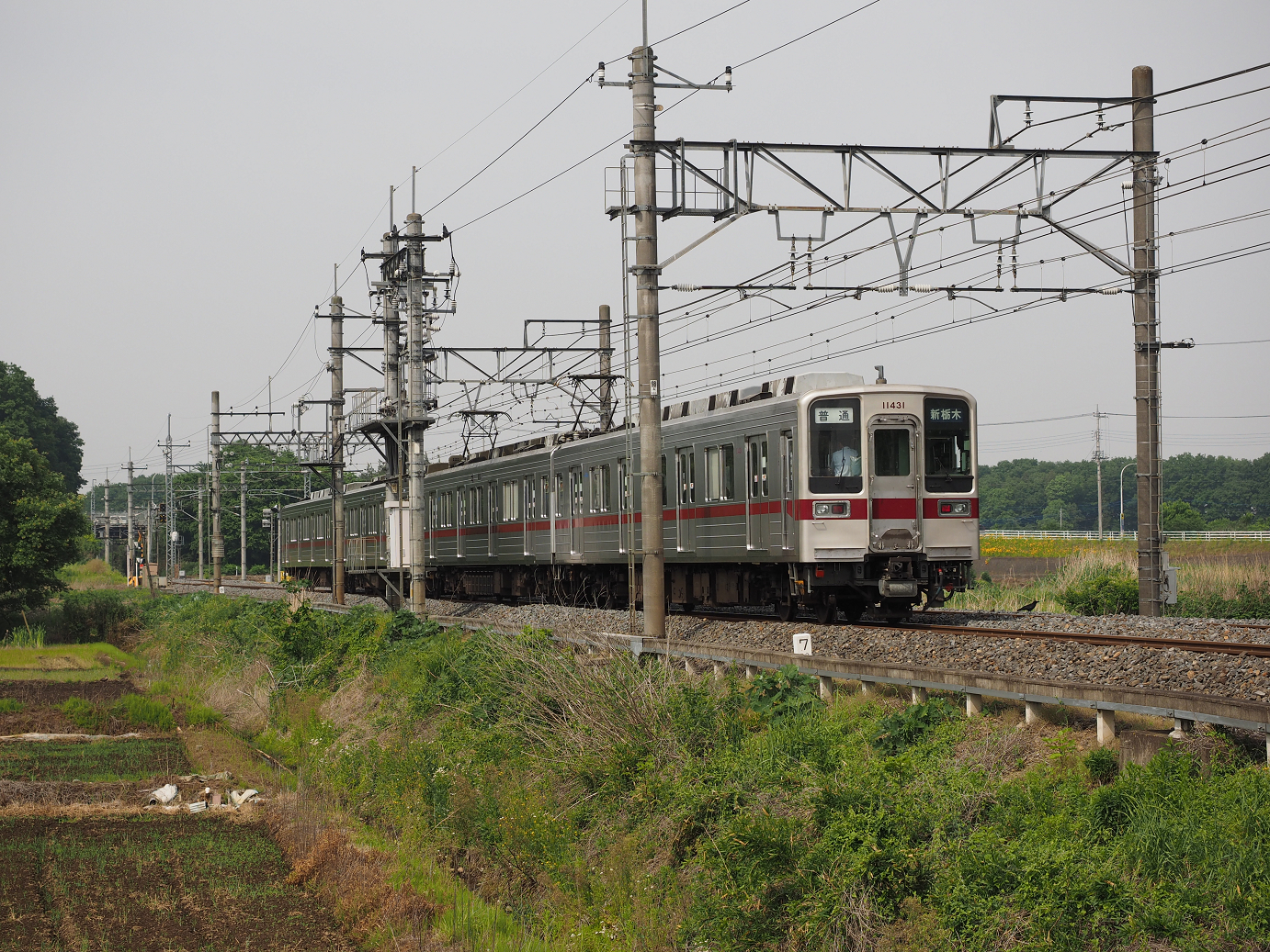 P5168610.jpg