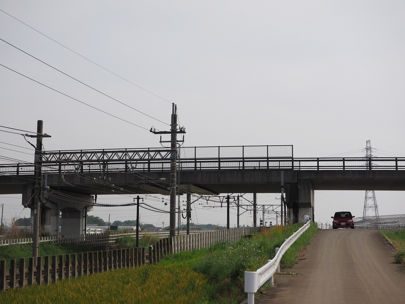 P5168611.jpg