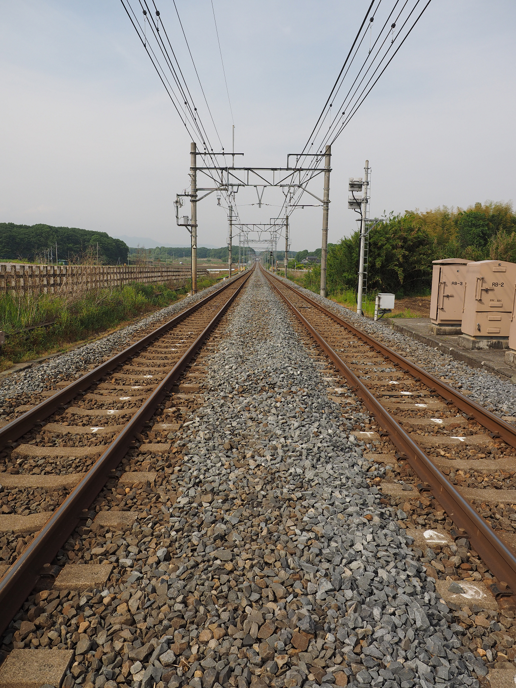 P5168613.jpg