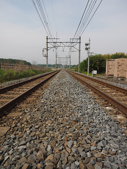 P5168614_thumb.png