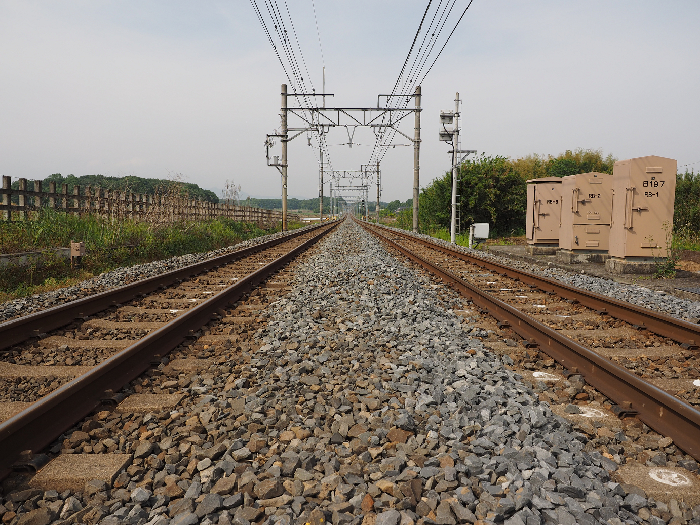 P5168615.jpg