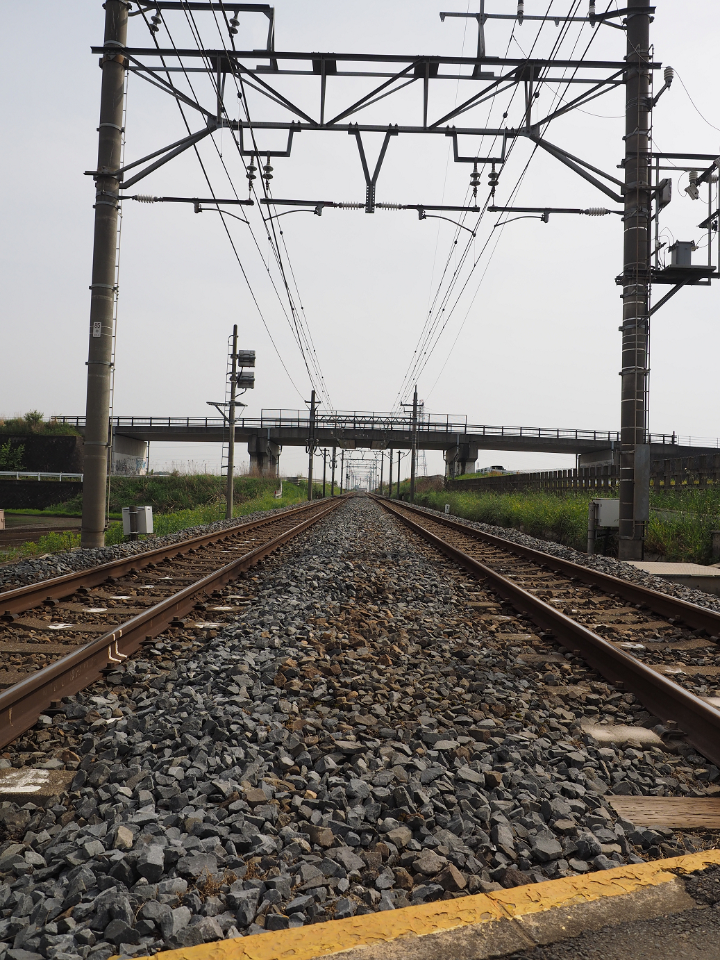 P5168617.jpg