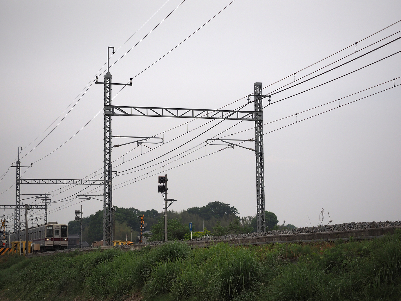 P5168628.jpg