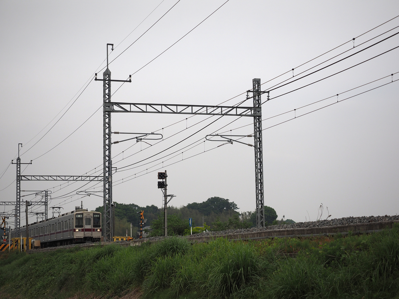 P5168629.jpg