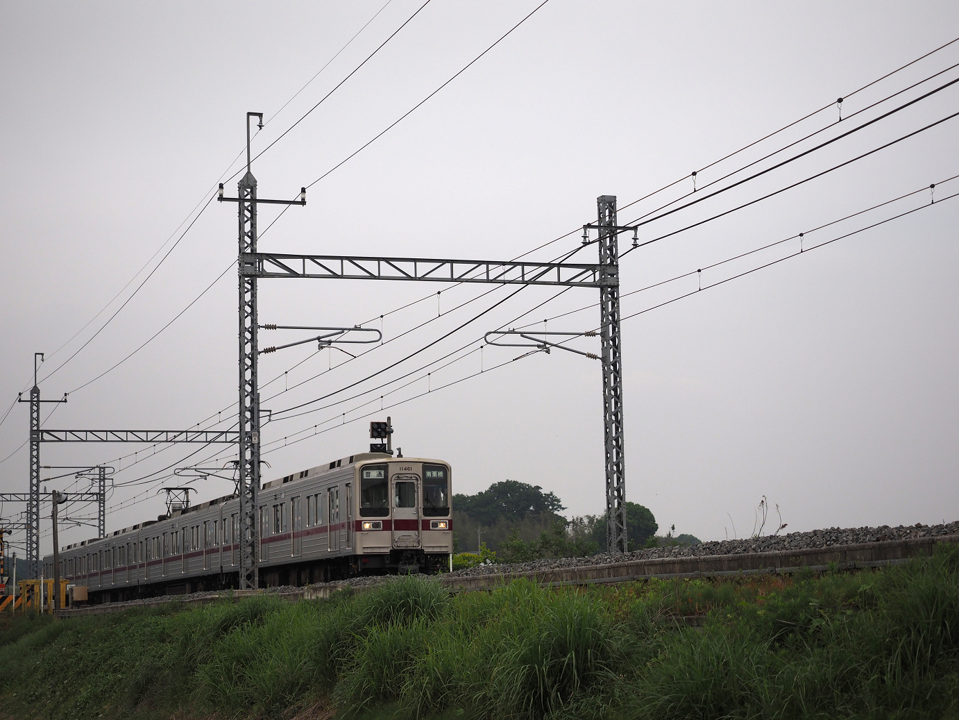 P5168637.jpg