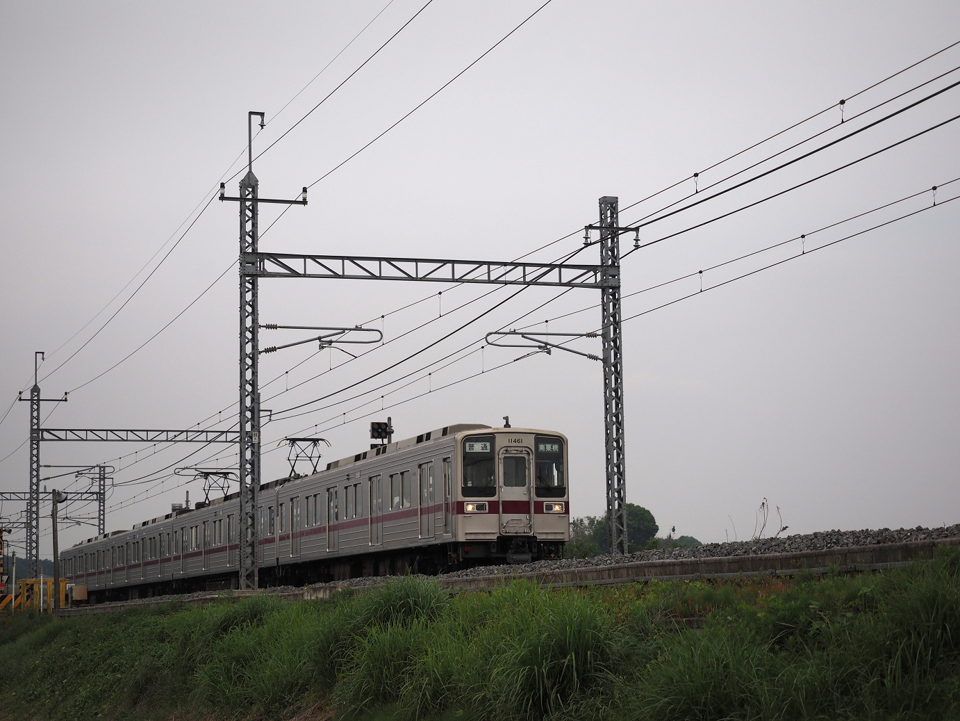 P5168641.jpg
