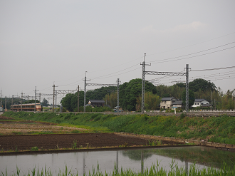 P5168691_thumb.png