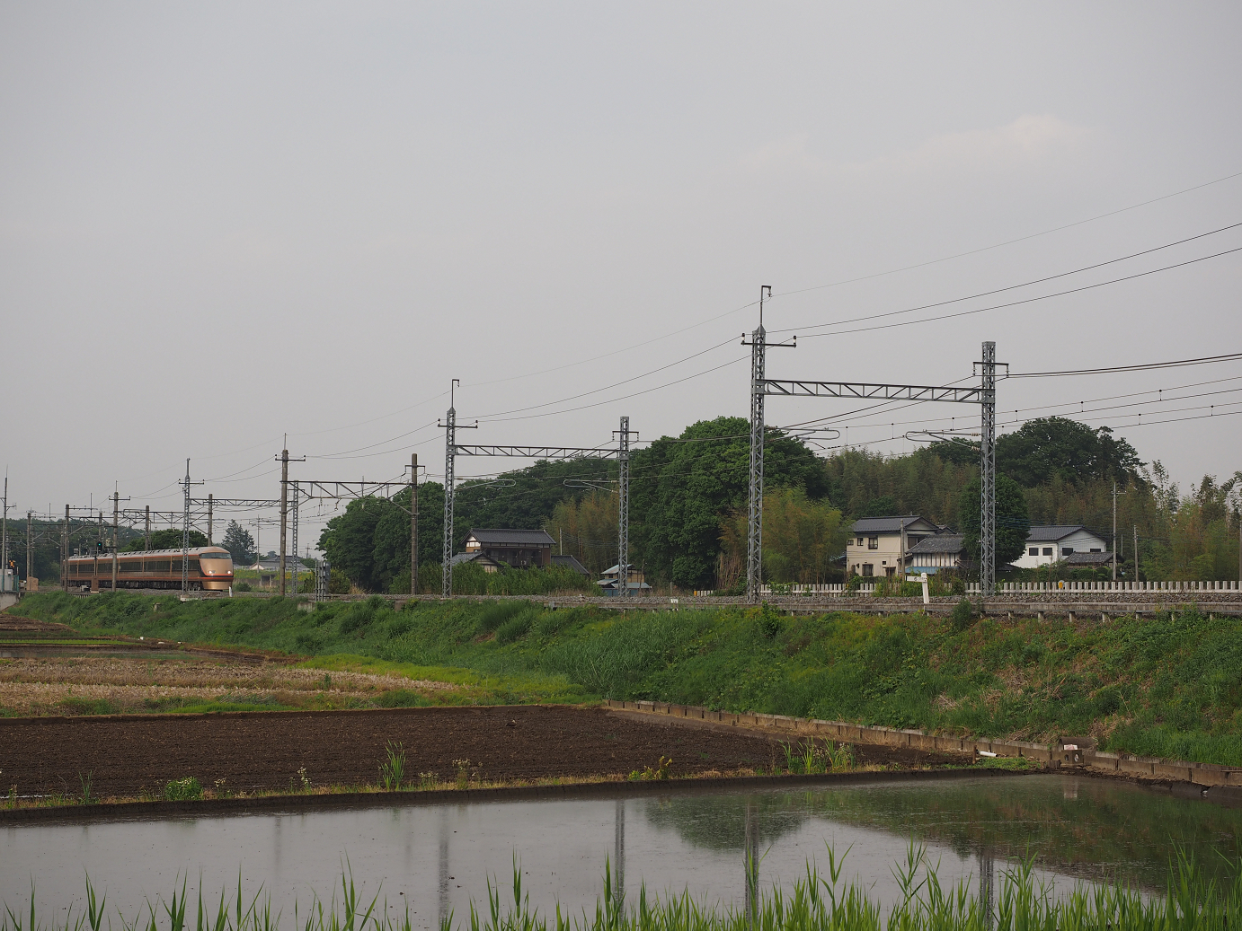 P5168694.jpg