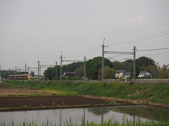 P5168694_thumb.png