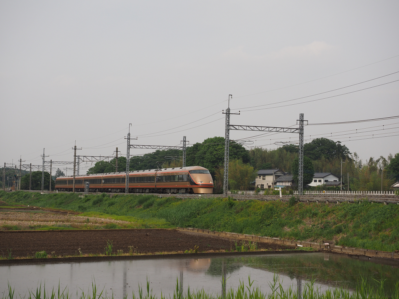 P5168695.jpg