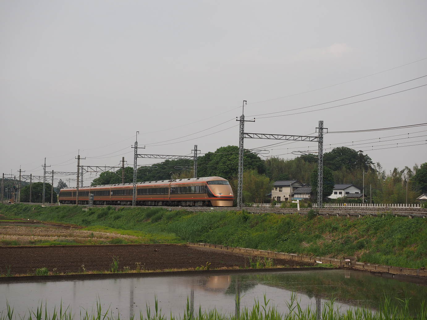 P5168696.jpg