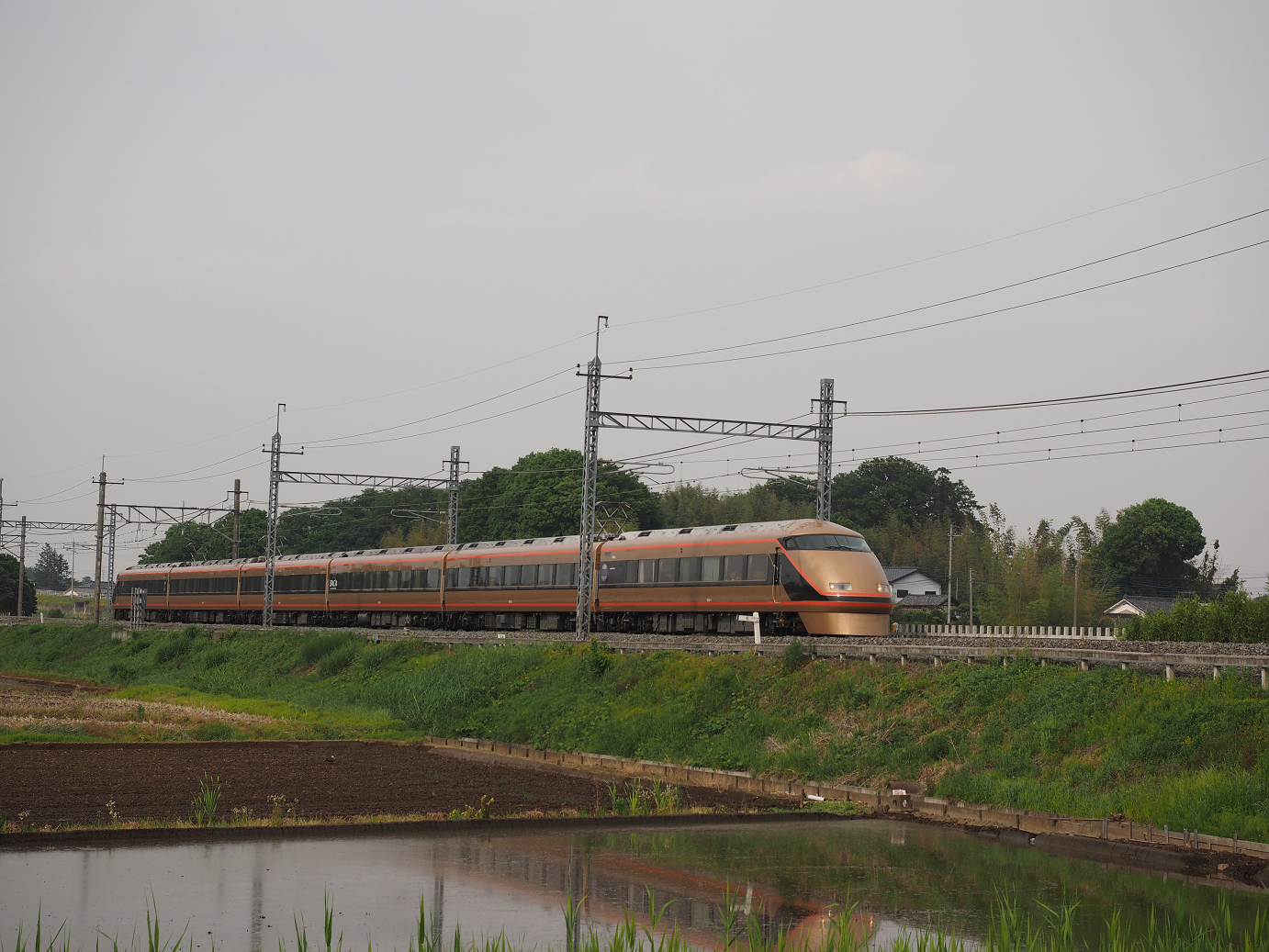 P5168698.jpg