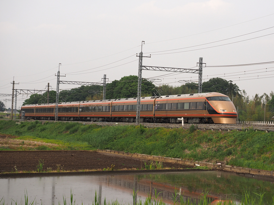 P5168700.jpg