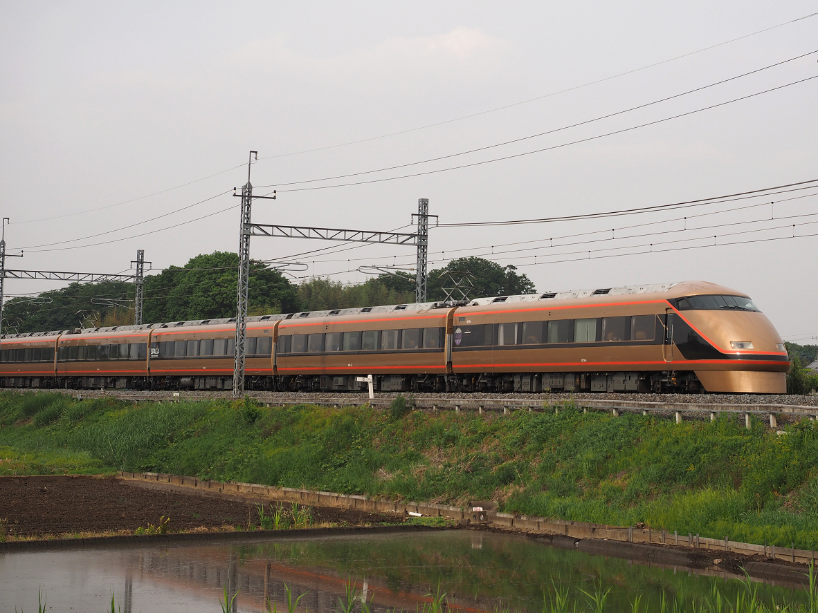 P5168707.jpg