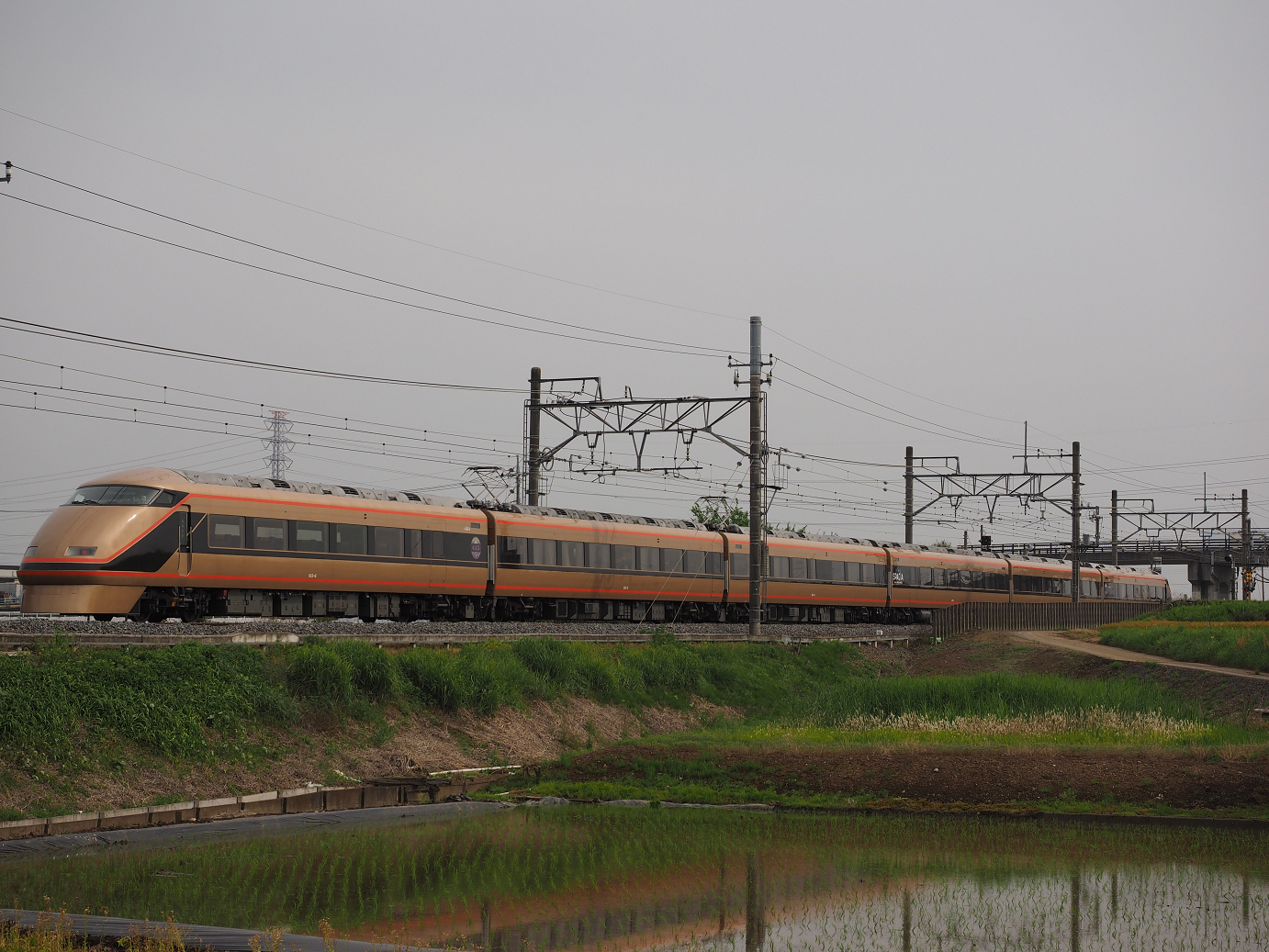 P5168717.jpg