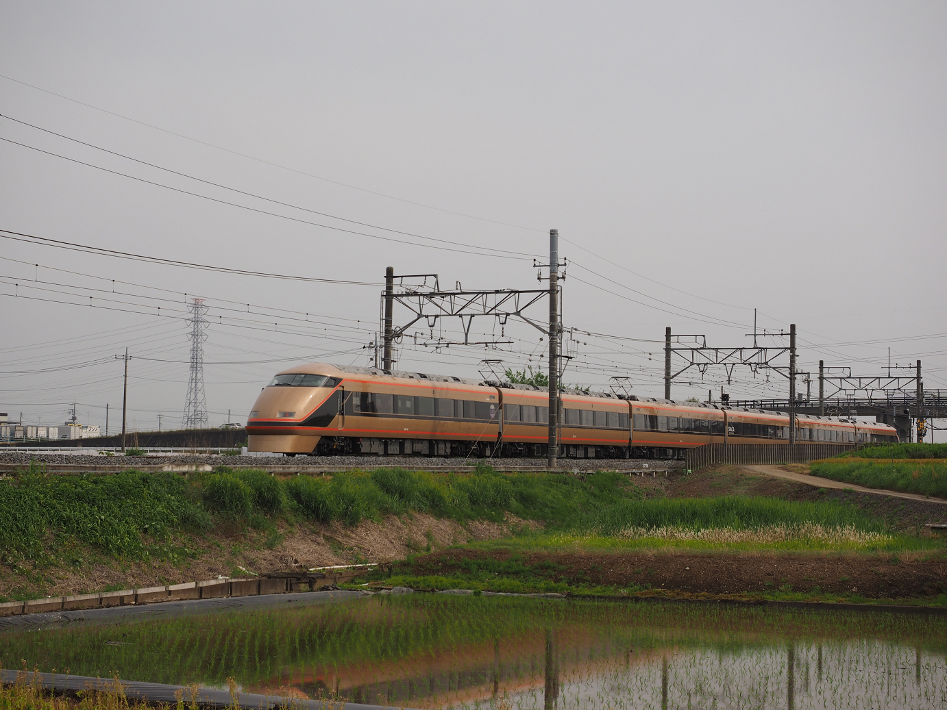 P5168718.jpg